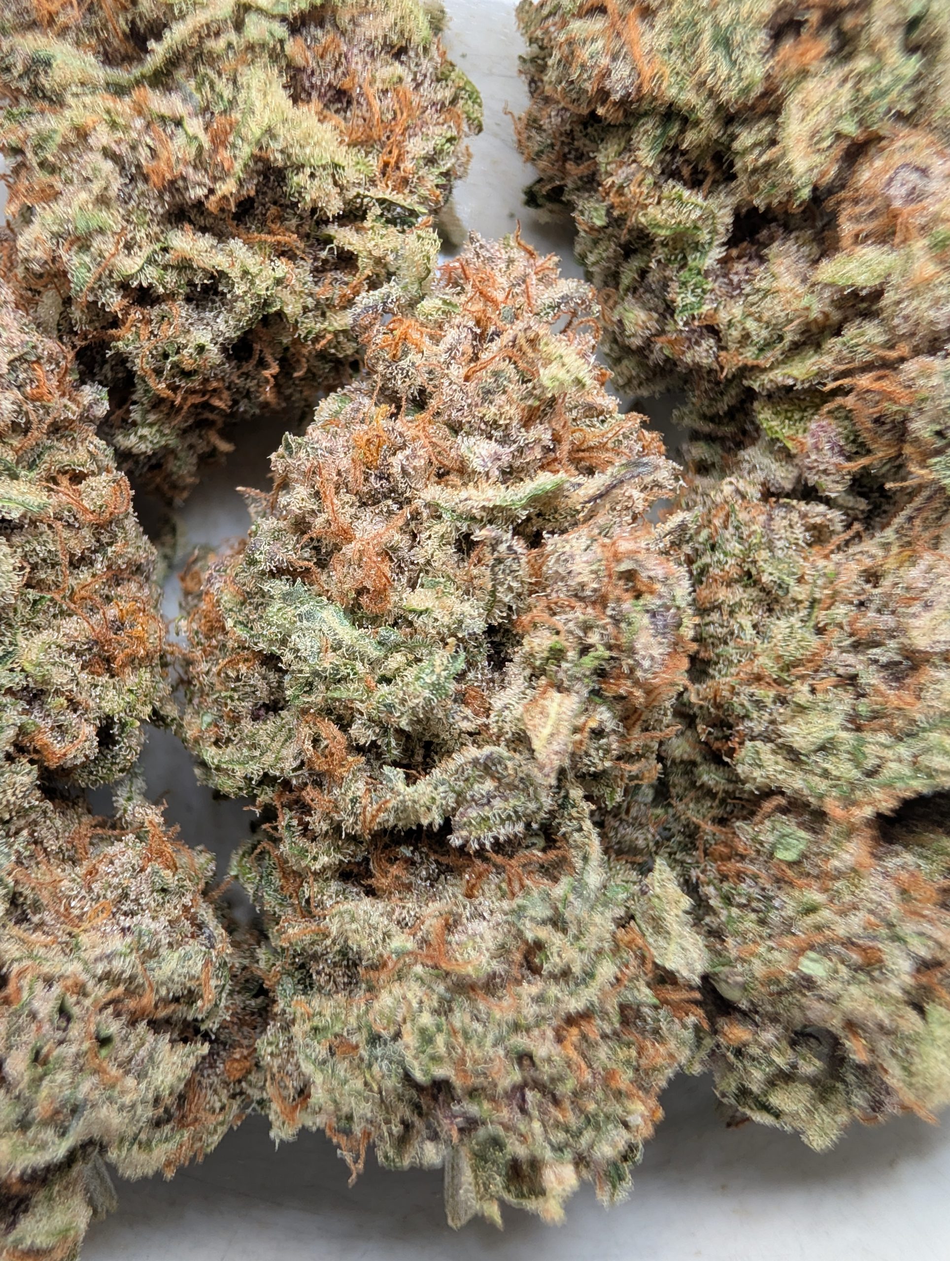 Gas Muffinz (indoor)