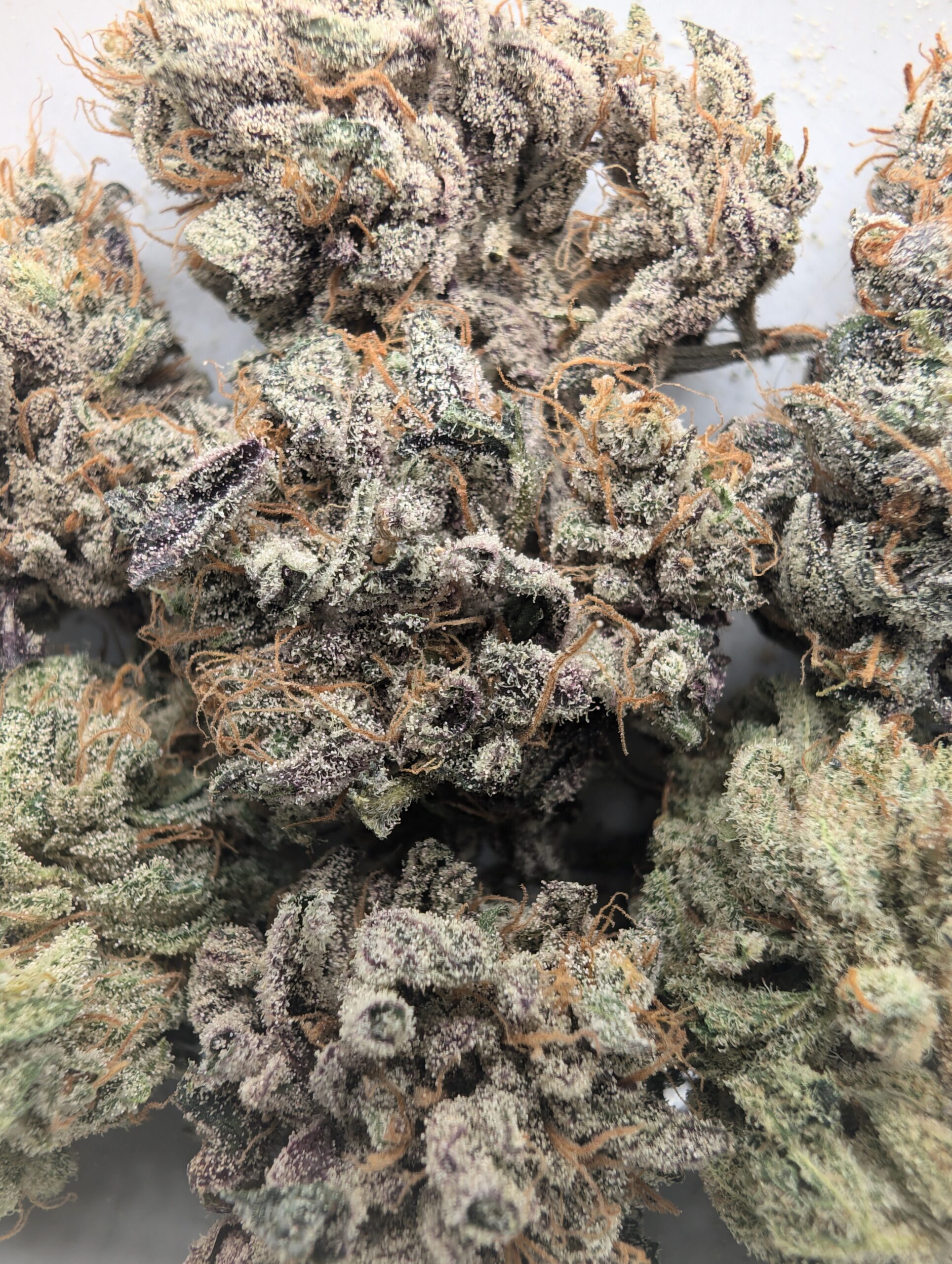 Milky Whey CBG (indoor)