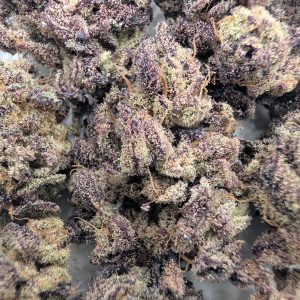 Beleafer Store Item